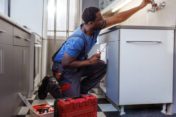 Best Residential Plumbing Services  in Nogales, AZ